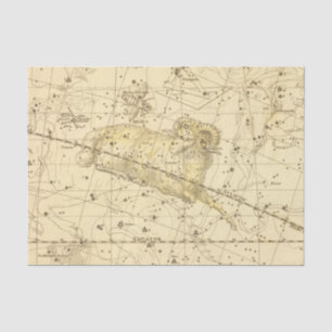 Aries, Musca Borealis Tissuepapier