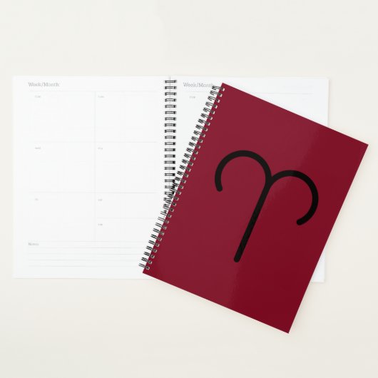 Aries Planner (Display)