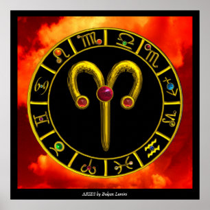 ARIES POSTER