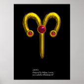 ARIES POSTER (Voorkant)