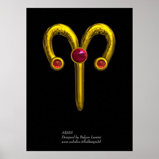 ARIES POSTER (Voorkant)