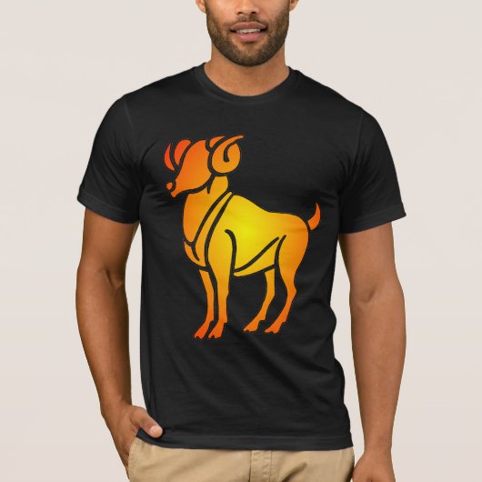 Aries Shirt (Voorkant)