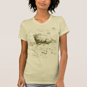  Aries Sign Constellation Hevelius 1690 T-shirt
