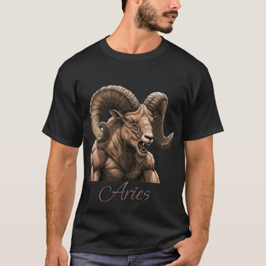 Aries T-shirt (Voorkant)