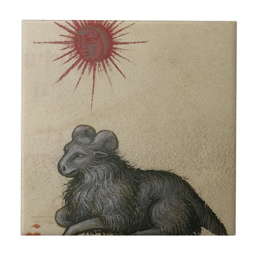 Aries Tegeltje (Voorkant)