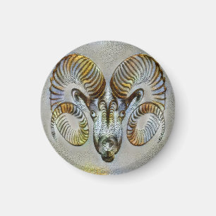 Aries Venice Magneet