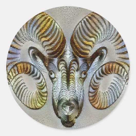 Aries Venice Ronde Sticker (Voorkant)