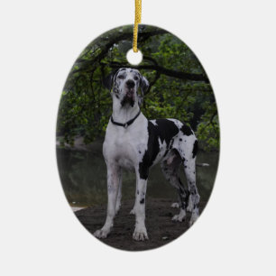 Aris volgeling keramisch ornament