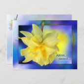 Arise, Shine. Briefkaart (Voorkant / Achterkant)