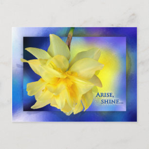 Arise, Shine. Briefkaart