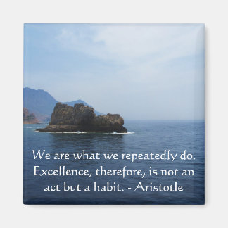Aristoteles Excellence Quotation Magneet