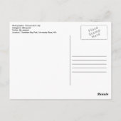 Aristoteles Quote Briefkaart (Achterkant)