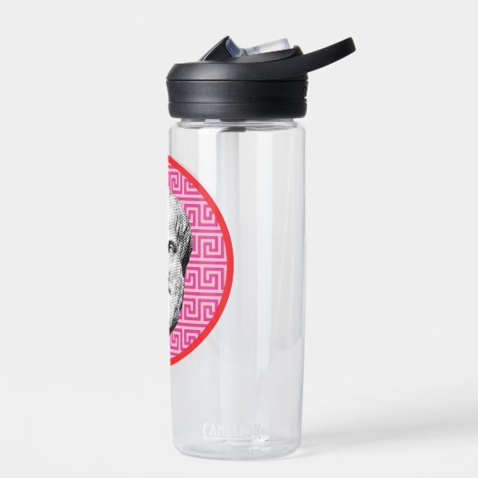 Aristotle Greek Philosopher Waterfles (Links)