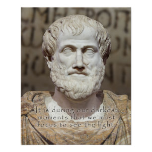 ARISTOTLE QUOTE FOCUS - MARBLE STONE BUST PERFECT POSTER