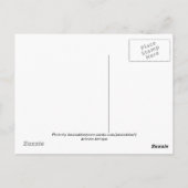 Arizona Antique Briefkaart (Achterkant)