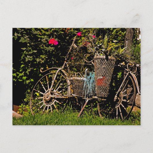 Arizona Antique Briefkaart (Voorkant)