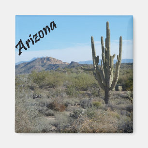 Arizona Apache Trail Cactus Photo Magnet Magneet