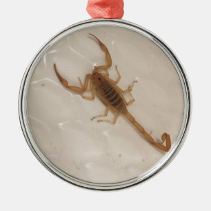 Arizona Bark Scorpion Metalen Ornament