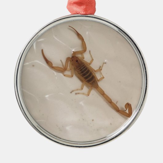 Arizona Bark Scorpion Metalen Ornament (Voorkant)