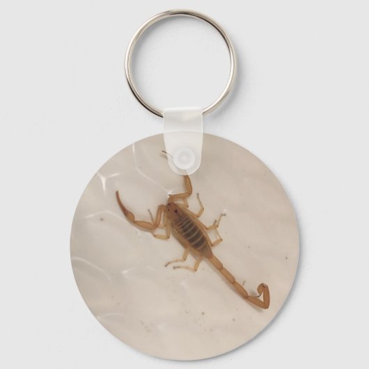 Arizona Bark Scorpion Sleutelhanger (Voorkant)