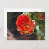 Arizona Briefkaart (Voorkant / Achterkant)