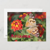 Arizona Briefkaart (Voorkant / Achterkant)