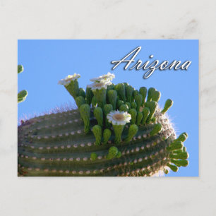 Arizona Briefkaart, Saguaro Cactus Briefkaart