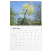 Arizona Cacti Calendar Kalender (Mar 2026)