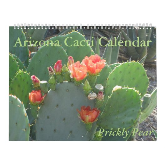 Arizona Cacti Calendar Kalender (Hoes)