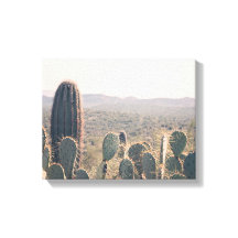 Arizona Cacti | Canvaskunst