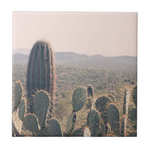 Arizona Cacti Landschapsfoto van woestijnboheme Tegeltje