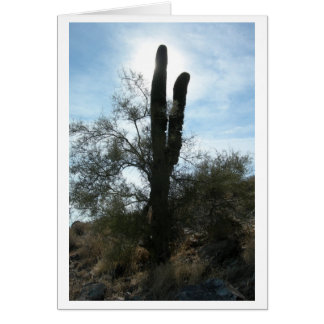 Arizona Cactus (blanco)