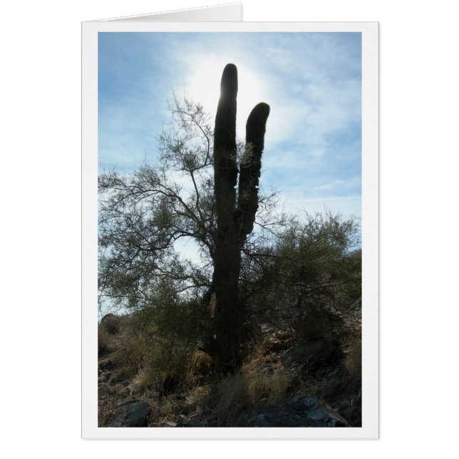 Arizona Cactus (blanco) (Voorkant)