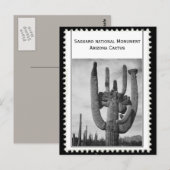 Arizona cactus briefkaart (Voorkant / Achterkant)