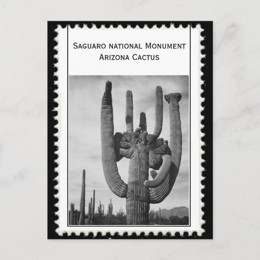 Arizona cactus briefkaart (Voorkant)