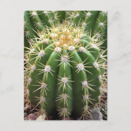Arizona Cactus Briefkaart