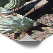 Arizona Cactus Garden Poster (Hoek)