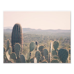 Arizona Cactus   Impression photo