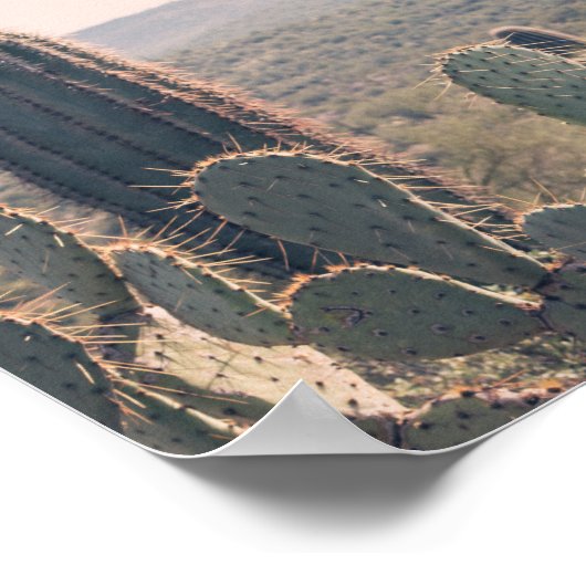 Arizona Cactus | Poster (Coin)