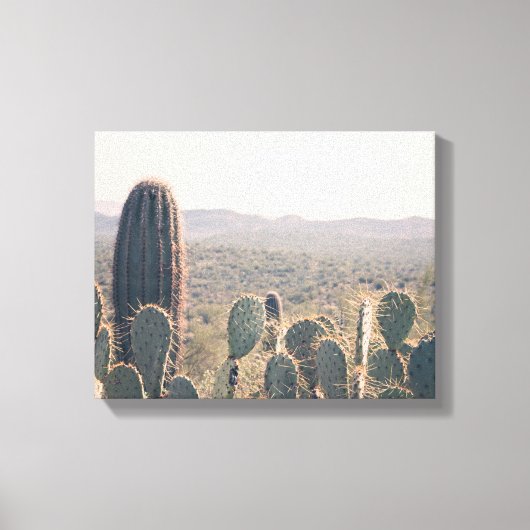 Arizona Cactus | Toile (Recto)