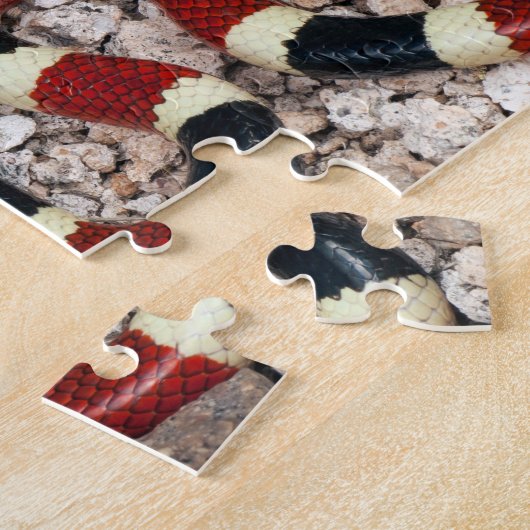 Arizona Coral Snake Jigsaw Puzzle (Côté)