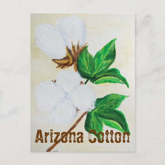 Arizona Cotton Facts Carte postale (Devant)