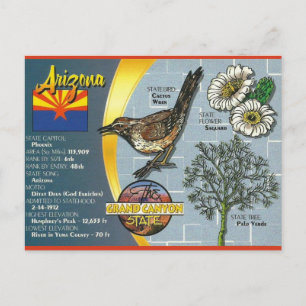  Arizona De staat Grand Canyon Briefkaart