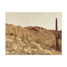 Arizona Desert Briefkaart
