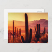 Arizona Desert cactus sunset Briefkaart (Voorkant / Achterkant)