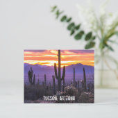 Arizona Desert Cactus Sunset Natuur Foto Souvenir Briefkaart (Staand voorkant)