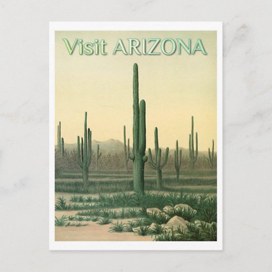 Arizona Desert Cactus Travel Briefkaart (Voorkant)