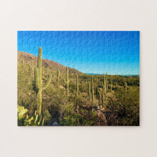 Arizona Desert Legpuzzel