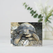 Arizona Desert Tortoise Briefkaart (Staand voorkant)