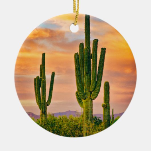 Arizona Life Keramisch Ornament (Voorkant)